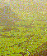 [Dysynni Valley - click for more pictures]