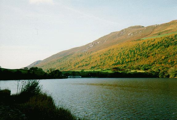 Tal y Llyn Picture
