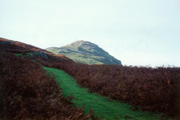 [Path to Craig yr Aderyn]