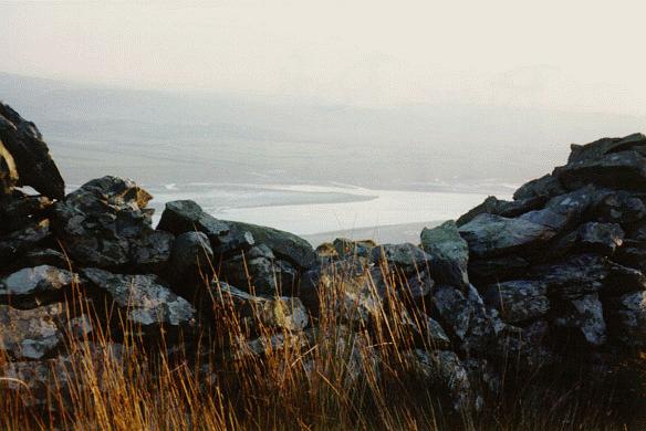[Dyfi Estuary]