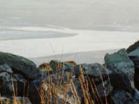 [Dyfi Estuary - click for more pictures]